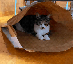 示例 3