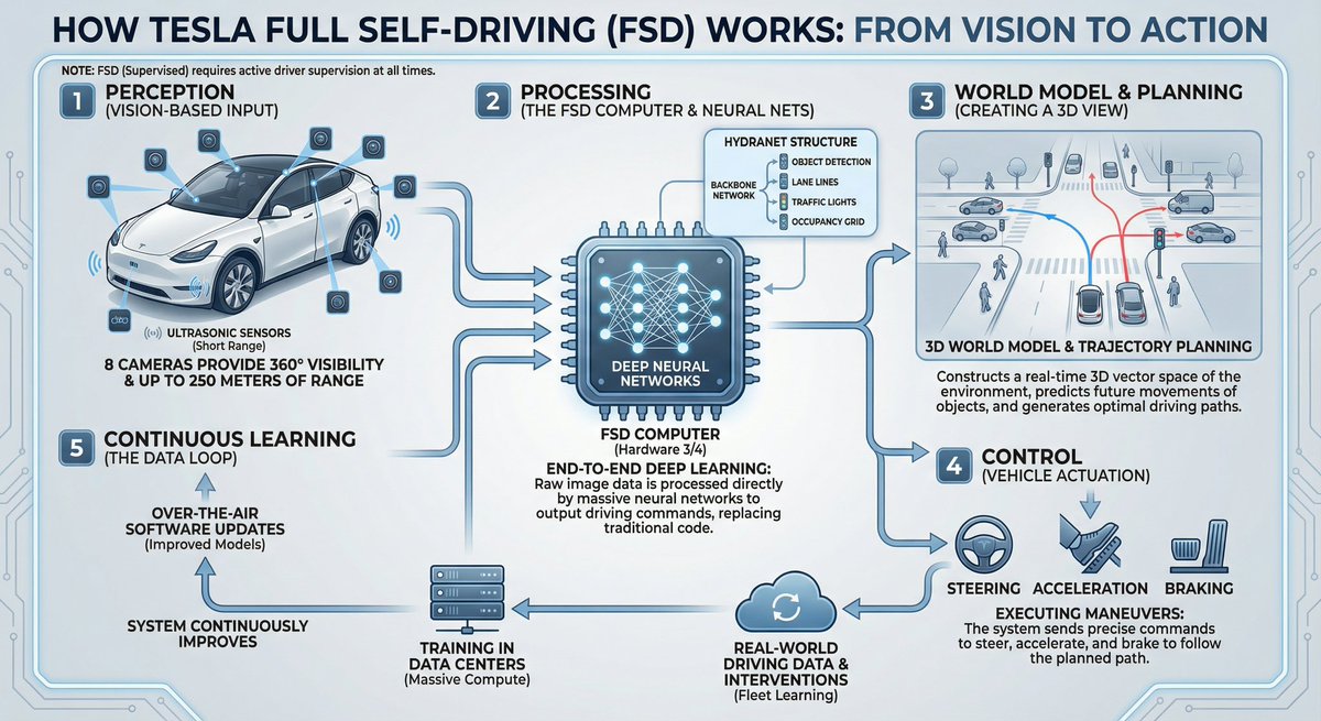 Tesla FSD 解释信息图 生成效果示例