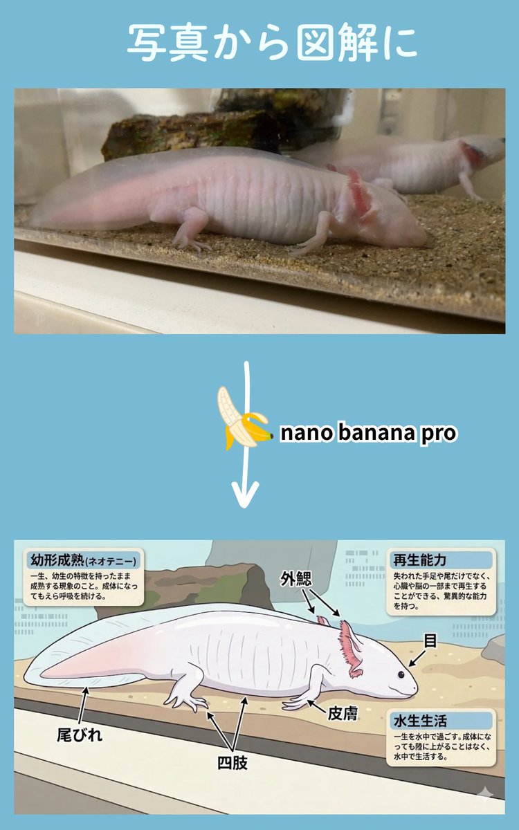 示例 3