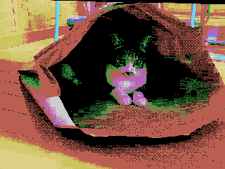示例 4