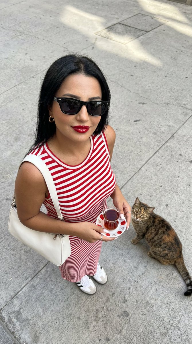 伊斯坦布尔猫的都市时尚 生成效果示例