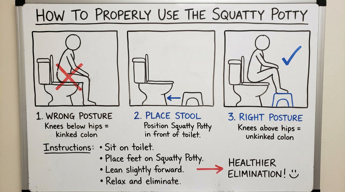 Squatty Potty 白板说明 生成效果示例