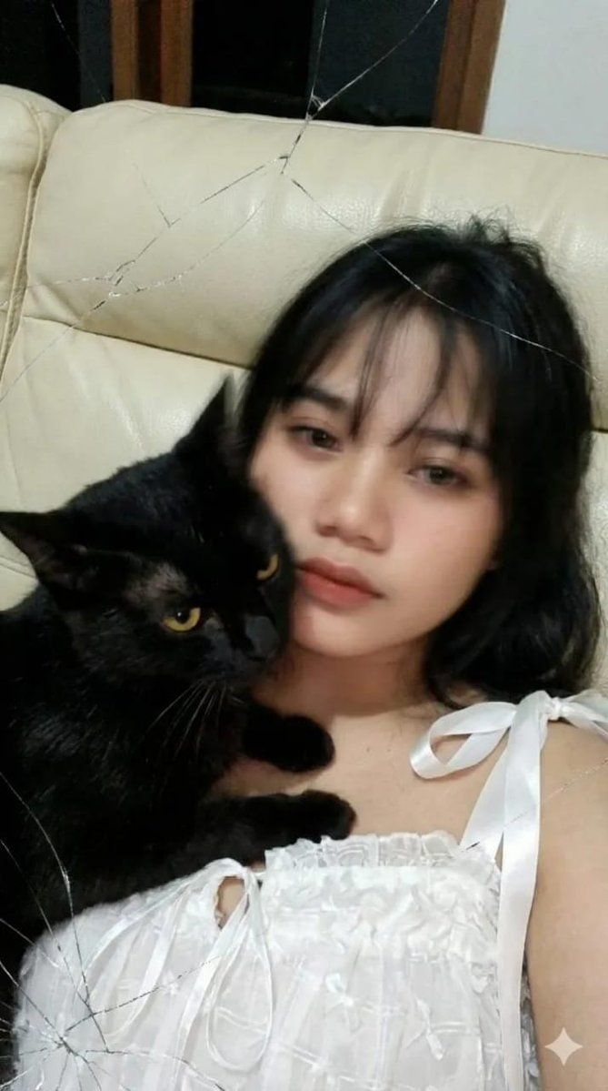 与猫的低分辨率运动模糊自拍 生成效果示例
